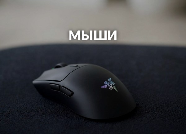 Мыши
