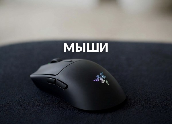 Мыши